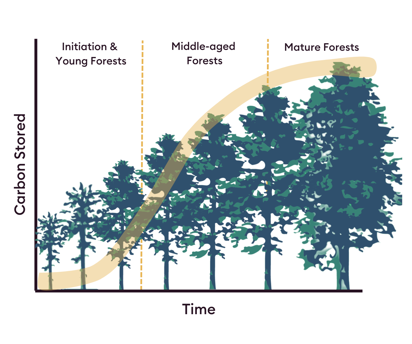 Stored carbon graph.